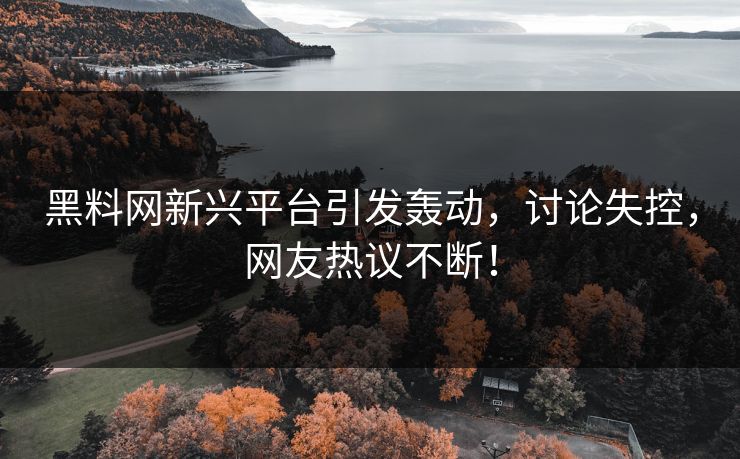 黑料网新兴平台引发轰动，讨论失控，网友热议不断！