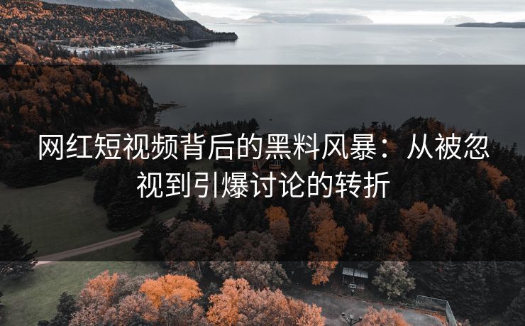 网红短视频背后的黑料风暴：从被忽视到引爆讨论的转折