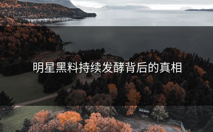 明星黑料持续发酵背后的真相