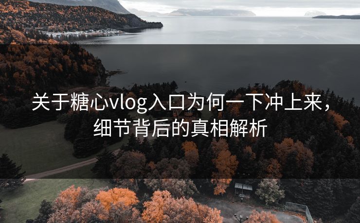 关于糖心vlog入口为何一下冲上来，细节背后的真相解析