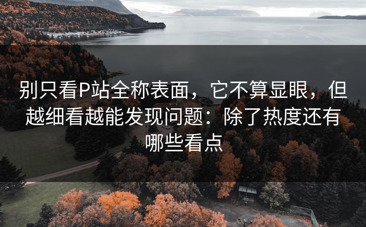 别只看P站全称表面，它不算显眼，但越细看越能发现问题：除了热度还有哪些看点