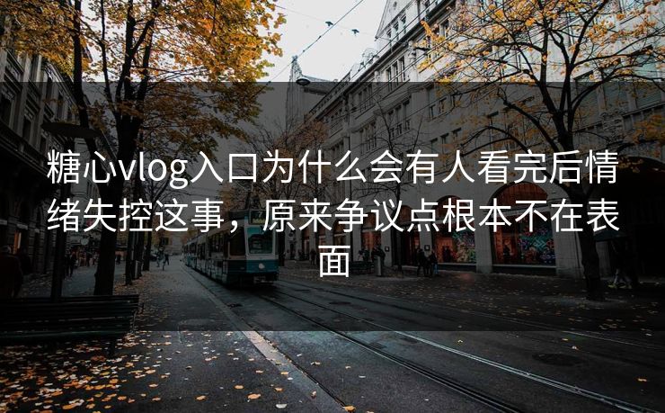 糖心vlog入口为什么会有人看完后情绪失控这事，原来争议点根本不在表面