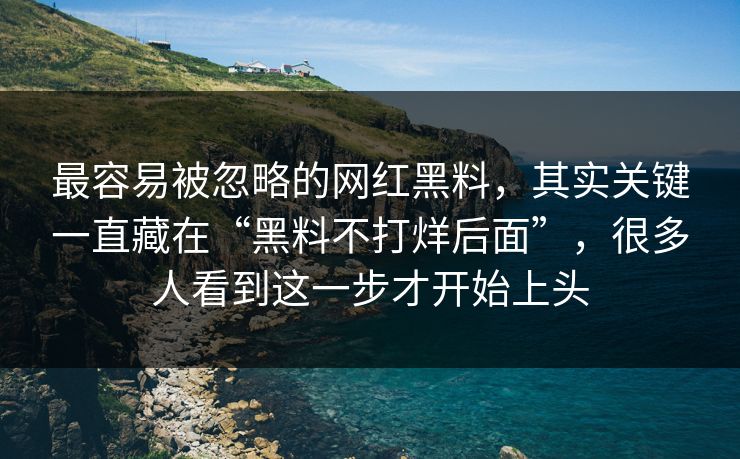 最容易被忽略的网红黑料，其实关键一直藏在“黑料不打烊后面”，很多人看到这一步才开始上头