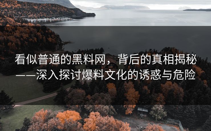 看似普通的黑料网，背后的真相揭秘——深入探讨爆料文化的诱惑与危险