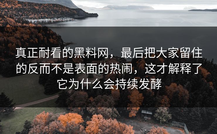 真正耐看的黑料网，最后把大家留住的反而不是表面的热闹，这才解释了它为什么会持续发酵