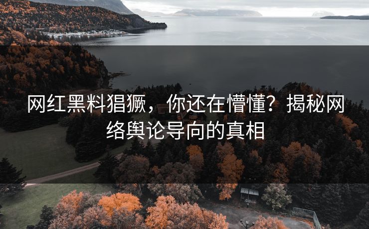 网红黑料猖獗，你还在懵懂？揭秘网络舆论导向的真相