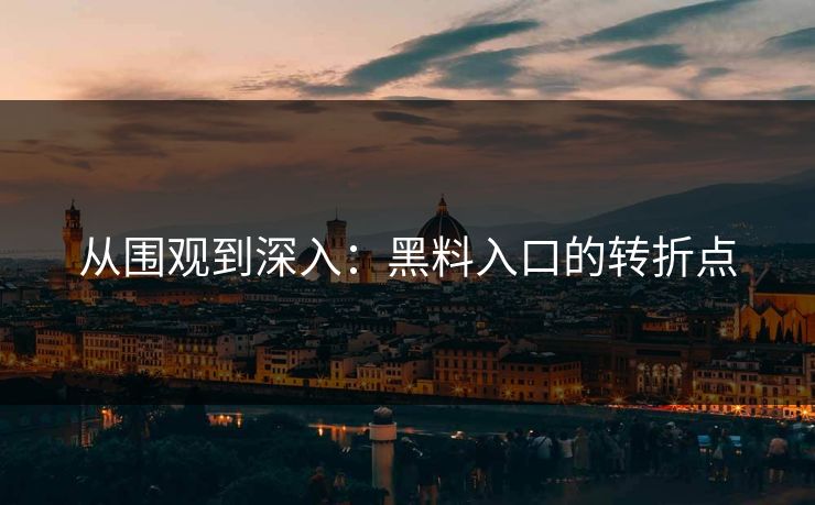 从围观到深入：黑料入口的转折点  第1张