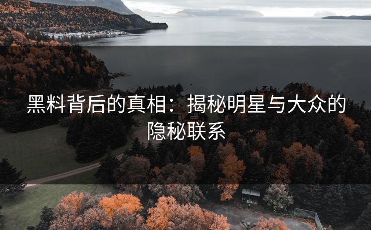黑料背后的真相：揭秘明星与大众的隐秘联系