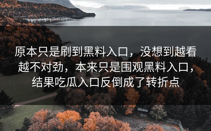 原本只是刷到黑料入口，没想到越看越不对劲，本来只是围观黑料入口，结果吃瓜入口反倒成了转折点  第1张