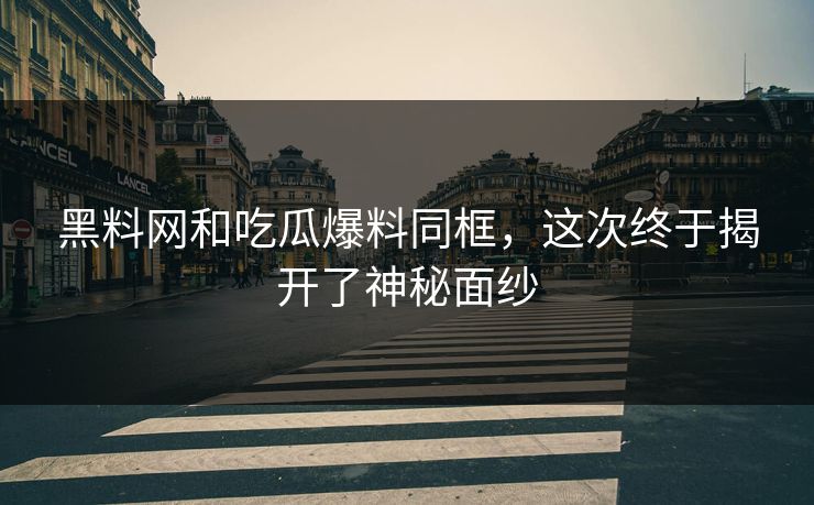黑料网和吃瓜爆料同框，这次终于揭开了神秘面纱  第1张