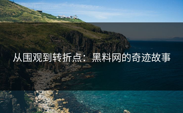 从围观到转折点：黑料网的奇迹故事  第1张